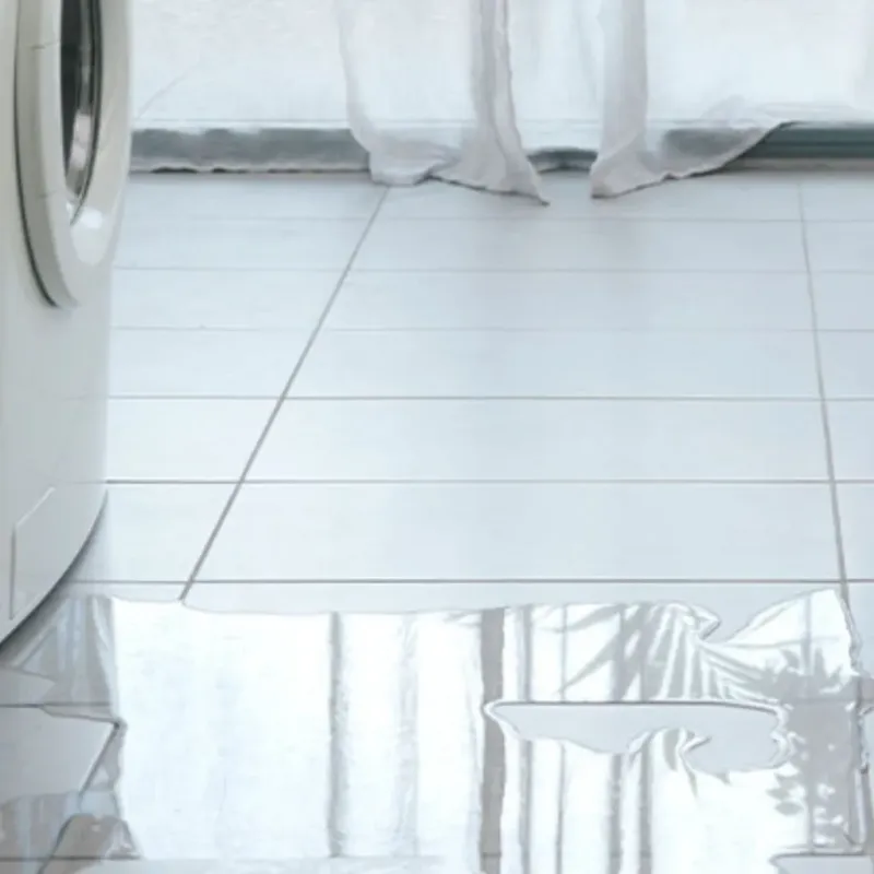 Appliance Leak Cleanup in White County, IN