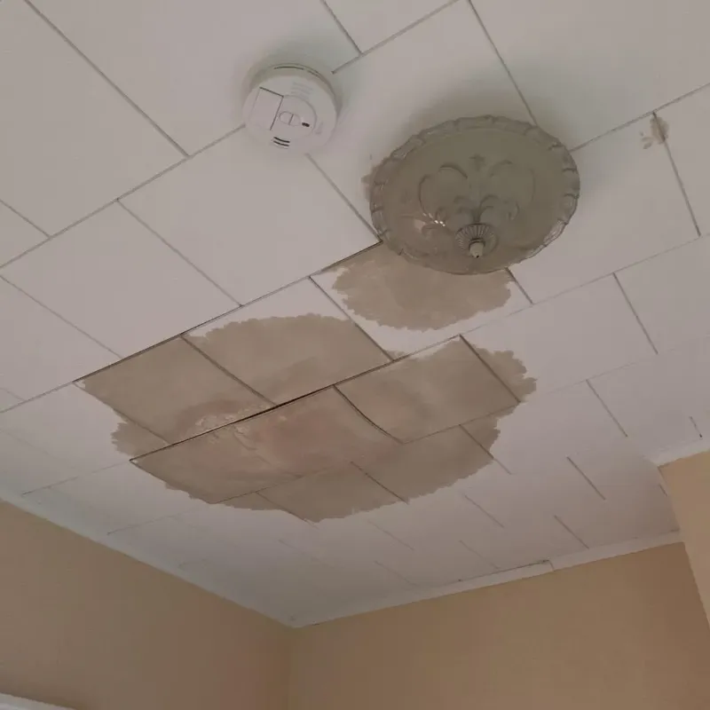 Ceiling Water Damage Repair in White County, IN