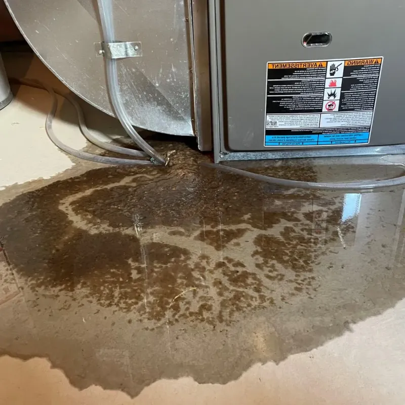 Pipe Burst and Leak Restoration in White County, IN